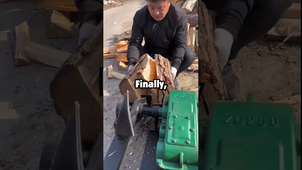 When did military bureaucracy defy all logic and reason?