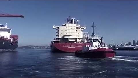 Cycloidal propeller (Voith Schneider)