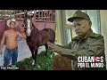 Campesino cubano es víctima de decomiso y hostigamiento policial ordenado por García Frías