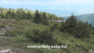 Video thumbnail of "Kormorán - Sólyom a Hargitán - Madarasi Hargita 2011"