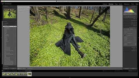 Lens Corrections : Manual : Vignetting
