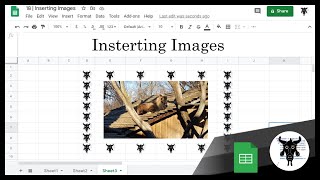 Google Sheets Beginners - Inserting Images (18) Profile