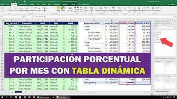 Participación porcentual por mes con tabla dinámica