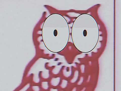 Radical sheep/Owl Communications/YTV (1995, rare variant) @AntiGarrettLeague