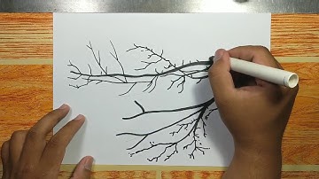 How to draw TREE BRANCHES (SILHOUETTE) step by step