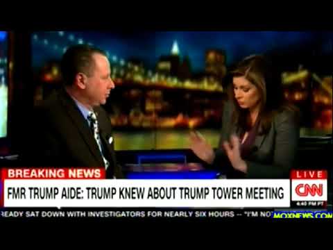 CNN Anchor to Sam Nunberg: I smell alcohol on your breath