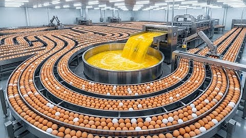 Inside an Egg Factory: Cracking 3.6 Million Eggs a Day (Full Process)