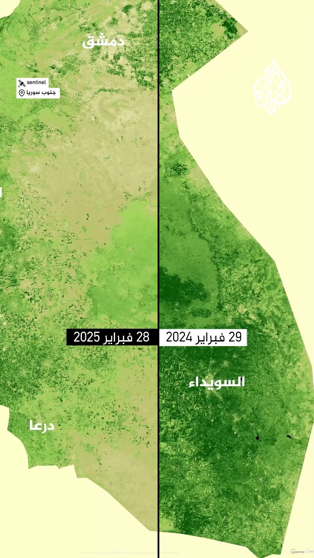 صور أقمار صناعية تظهر التدهور الحاد بالغطاء النباتي في سوريا