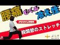 【目指せ180°開脚】股関節をふにゃふにゃにするストレッチ