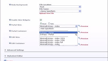 9) How to customize your DotNetNuke appearance (changing skins) by Gecko Websites