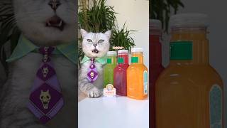 😋Easy To Make Refreshing Fruit Tea!🍊🍒 | Three Flavors #Catsofyoutube #Tiktok