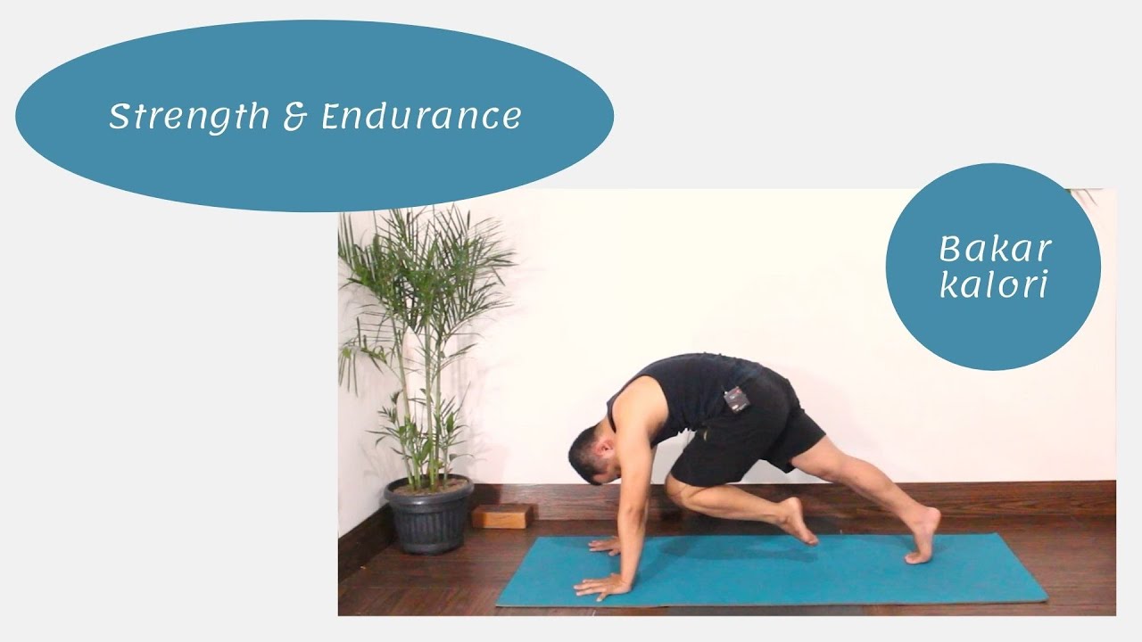 Kelas yoga flow vol. 5 untuk meningkatkan cardio, strength & endurance