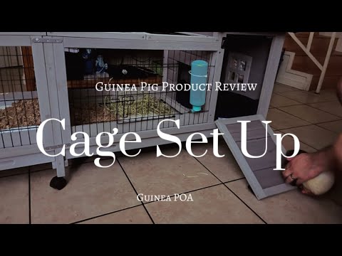 Guinea Pig Cage