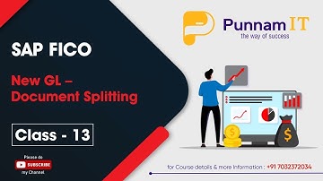 SAP FICO  document splitting Class 13