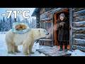 A Bear Brought a Frozen Fox Cub to an 80-Year-Old Woman’s Door… Then the Mother Fox Returned!