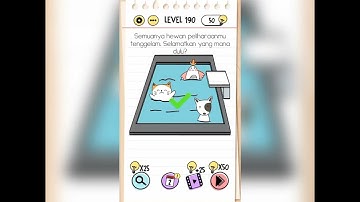 brain test level 190