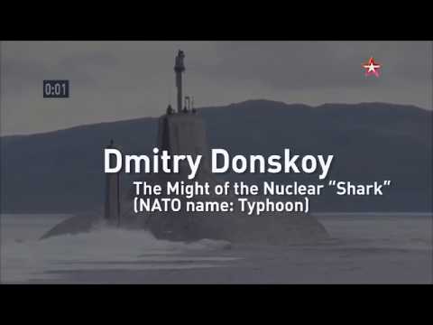 Video: What Is Dmitry Donskoy Famous For