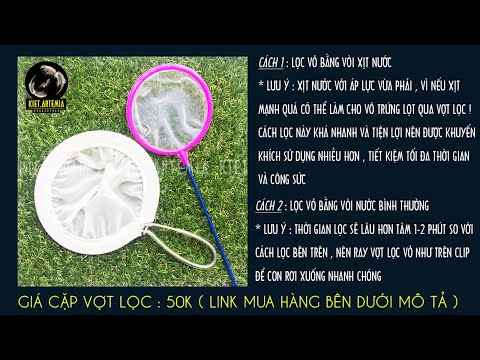Video Cách Lọc Vỏ Trứng Artemia Trung Quốc - Mỹ - Thái Sạch... - youtube