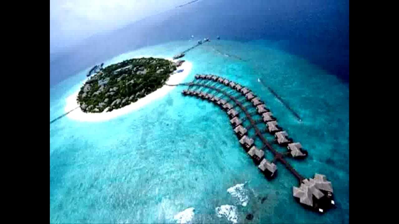 Maldives diving packages - Best diving packages in the Maldives