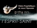 Je veux tpouser  inspir par lesprit 019