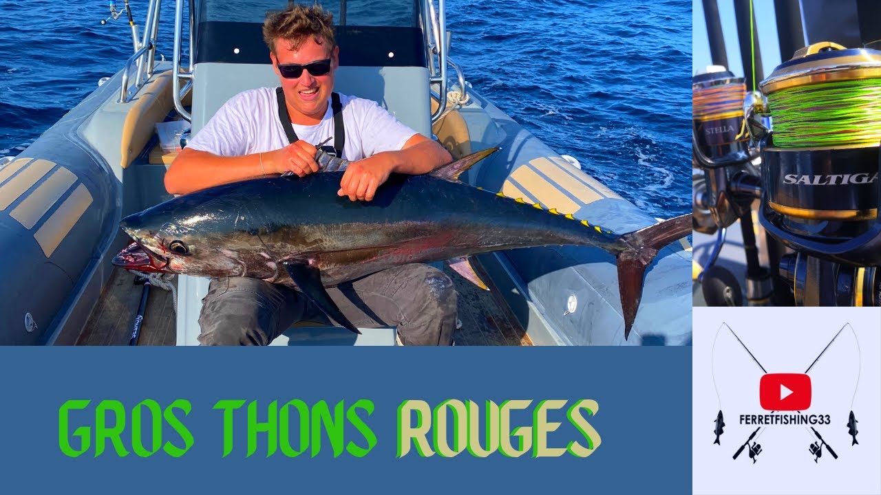 GROS thons ROUGES au POPPER