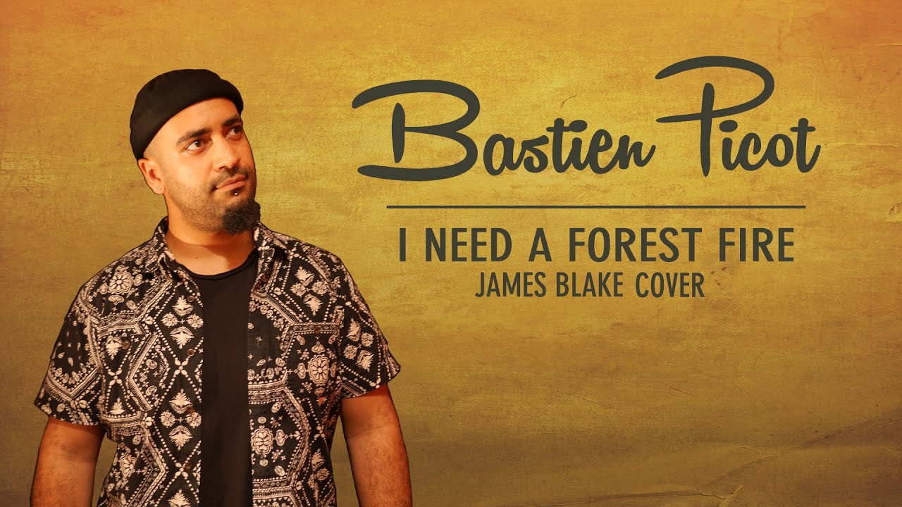 I Need A Forest Fire Reggae Cover   James Blake Song by Booboozzz All Stars Feat Bastien Picot
