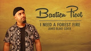 I Need A Forest Fire (Reggae Cover) - James Blake Song by Booboo&#39;zzz All Stars Feat. Bastien Picot