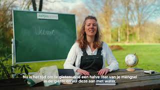 Aaltjes uitzetten in je tuin of gazon | Aaltjesonline.nl