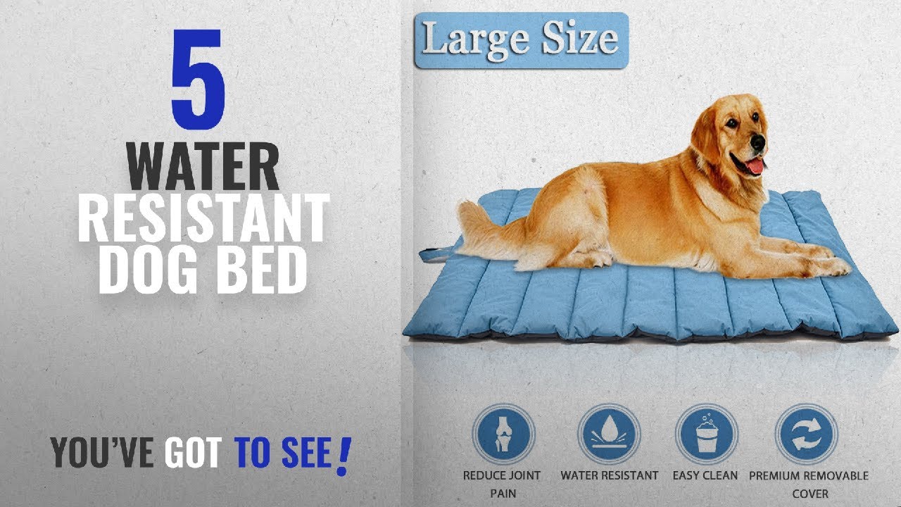 Top 5 Water Resistant Dog Bed [2018 Best Sellers]: Lifepul(TM) Pets Bed ...