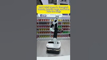 【WAIC 2025 Opens in Shanghai: Robots, Robotic Dogs, and Arms Take the Stage】