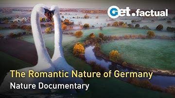 Romantic River - The beautiful Leine Valley | Full Nature Documentary