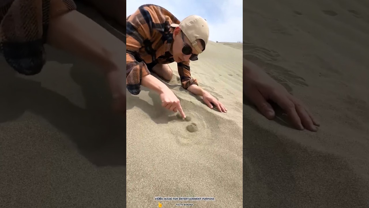 Original Title & Thumbnail