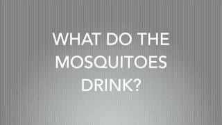 Test Your Attention Span