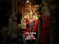 murugaa🤍🙏🏻 #tamil #latest #song #devotionalsongs #God #trending #newsong #viralhits