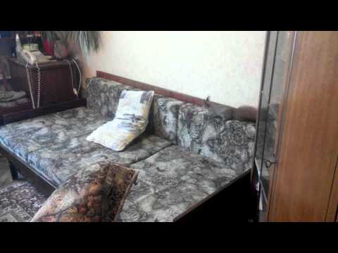 Цоканье? Фырканье?