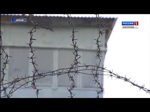 Видео: Кострома обсъжда снимка с призрак на момиче в гората Малишковски - Алтернативен изглед