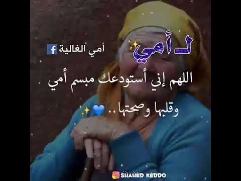 امي يا نور عيني