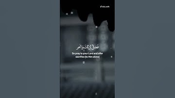 سورة الكوثر  | هاشم الساعدي