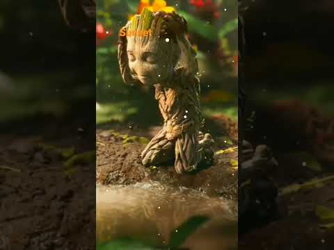 Sunset خۆرئاوابوون