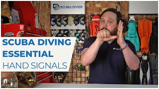 Scuba Essential Hand Signals #scuba #signal