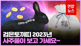 [oh!늘동물] 2023 '검은토끼 해', 사주풀이 보고 가세요 / 연합뉴스 (Yonhapnews)