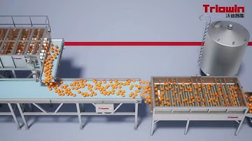 Turnkey Project for citrus/orange processing line, citrus/orange/lemon process 20 to 2000 tons/day