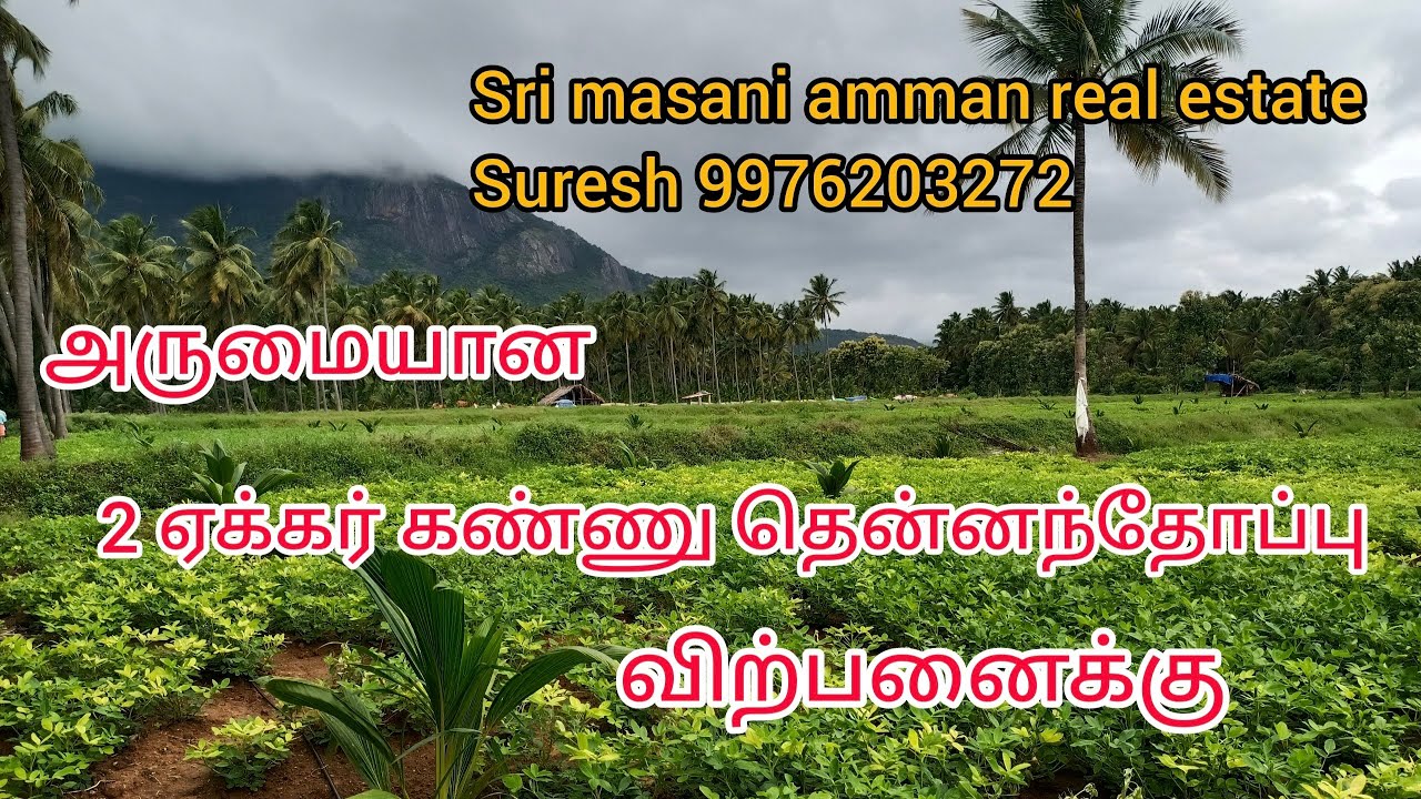 190 ) 2 acre farm land sale Pollachi area YouTube