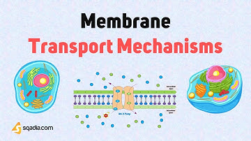Membrane Transport Mechanisms - Introduction
