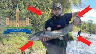 Fishing pressured URBAN river down town Ottawa