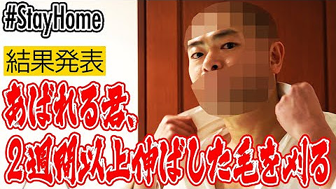 あばれる君 Youtube
