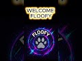 Chaotic Kitty Detected a Portal Before I Did…#funnyanimals #meowltriverse #shorts #floofy#openportal