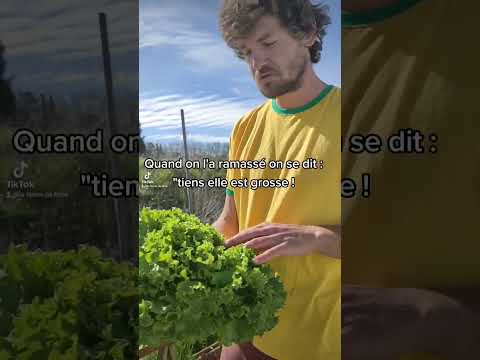 Vidéo: Jardins en permaculture - Avantages du jardinage en permaculture