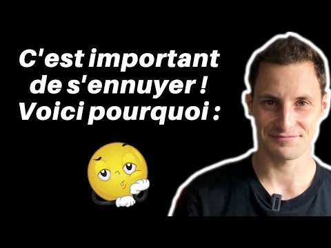 Vidéo: Laisse la formation et pourquoi c'est important.