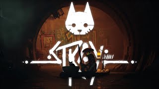 The Beautiful Despair of Stray